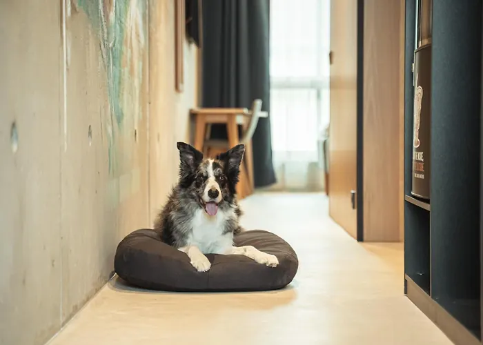 Time Hotel, Time To Art & Boutique מלון